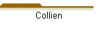 Collien